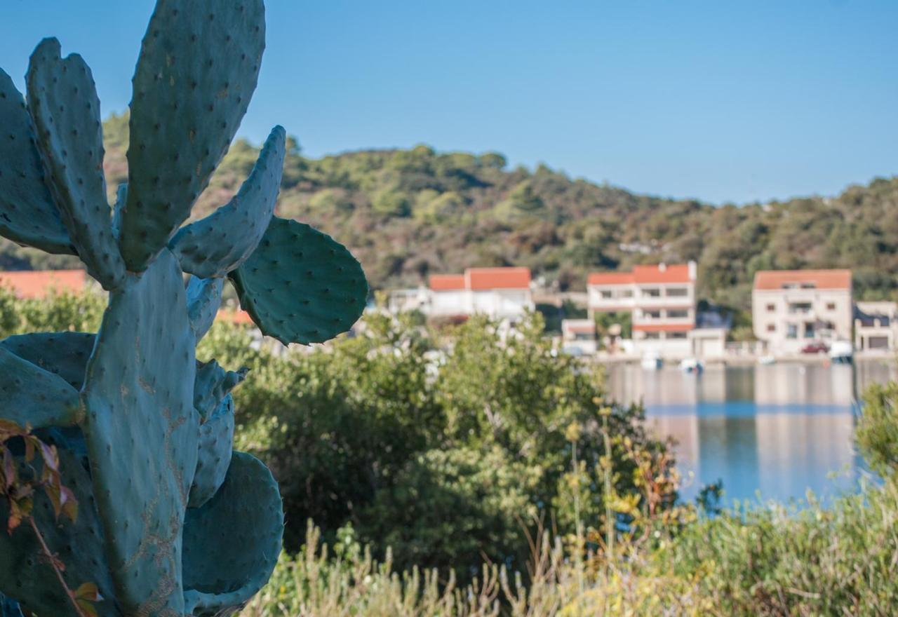 Apartmani Jagoda Lastovo エクステリア 写真